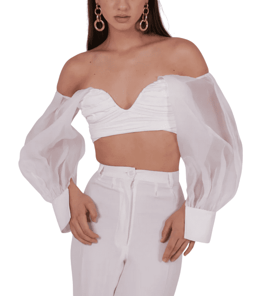 Best Price Ivory Organza Sleeve Top